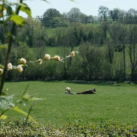 Perche Queen's Bedroom In Maisonnomadechic Bed & Breakfast *