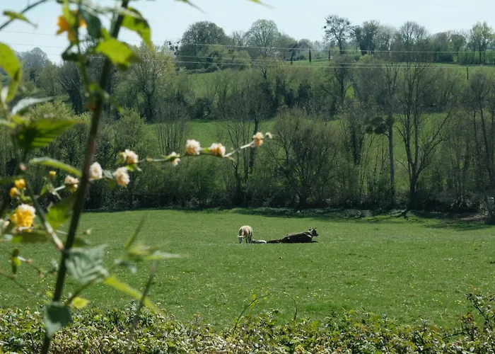 Perche Queen's Bedroom In Maisonnomadechic Отель типа 